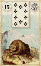 Lenormand Card 15 Bear Meaning & Combinations