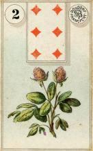 Lenormand Clover Card Meaning