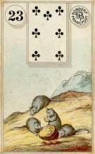 Lenormand Card 23 Mice Meaning & Combinations