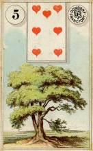 Lenormand Tree Card Meaning