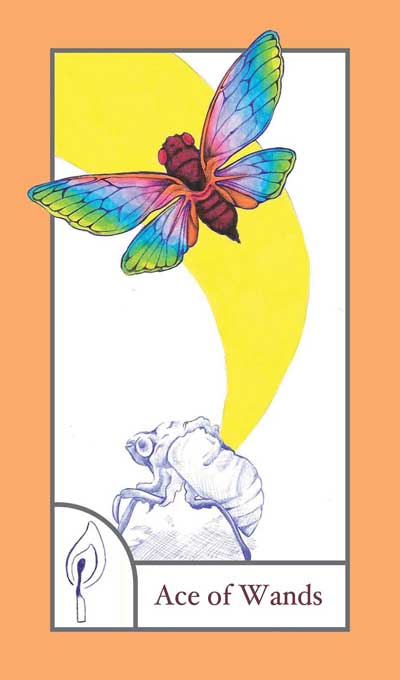 The BirdQueen Tarot, Sample Deck card #3