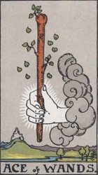 Ace of Wands Tarot card meaning and interpretation