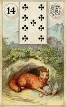 Lenormand Card 14 Fox Meaning & Combinations