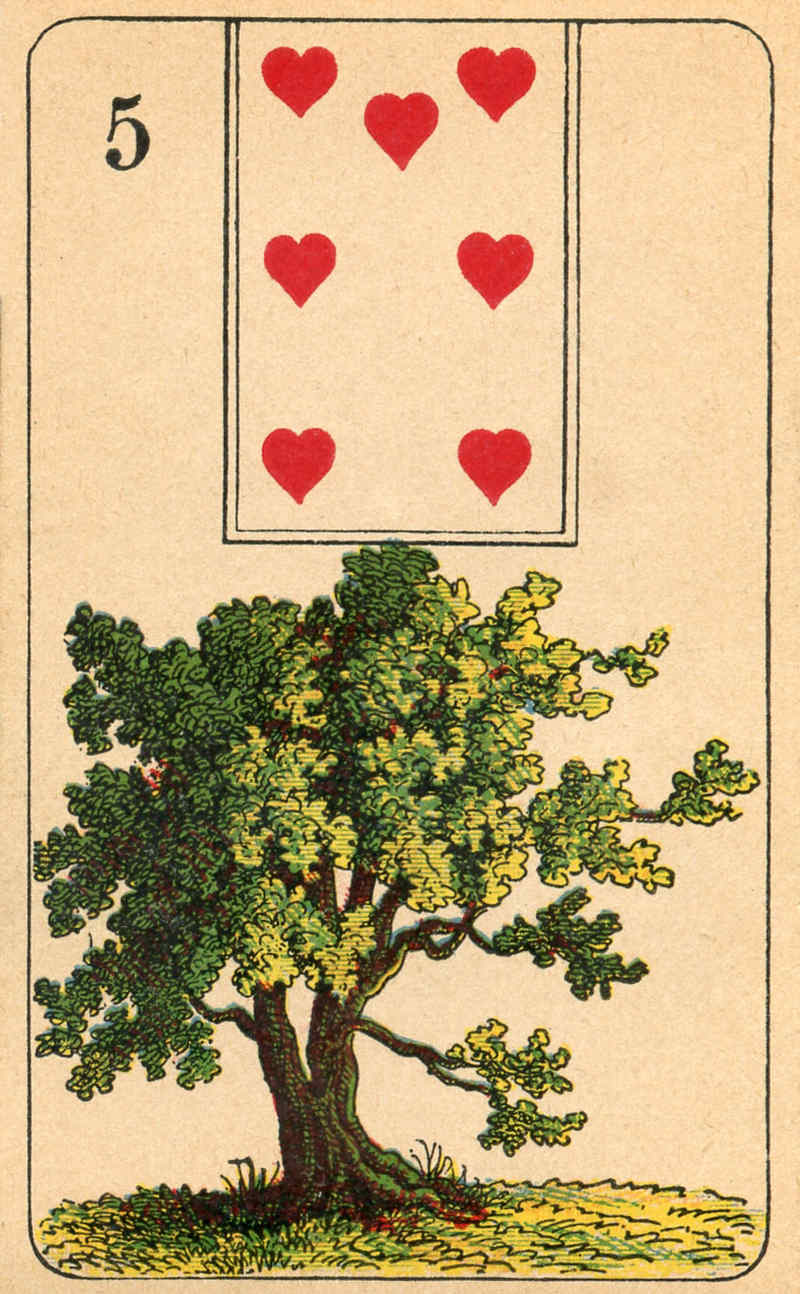 5.Tree
