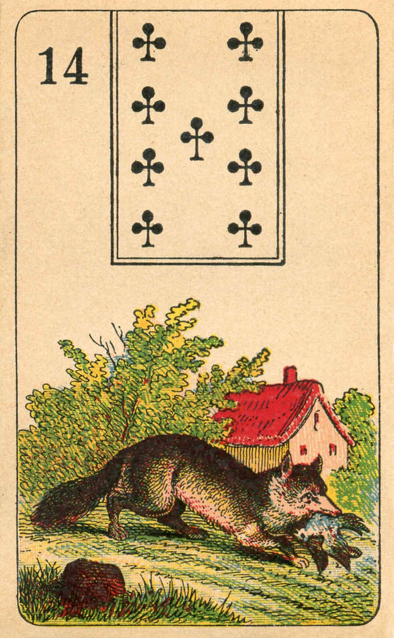 14.Fox