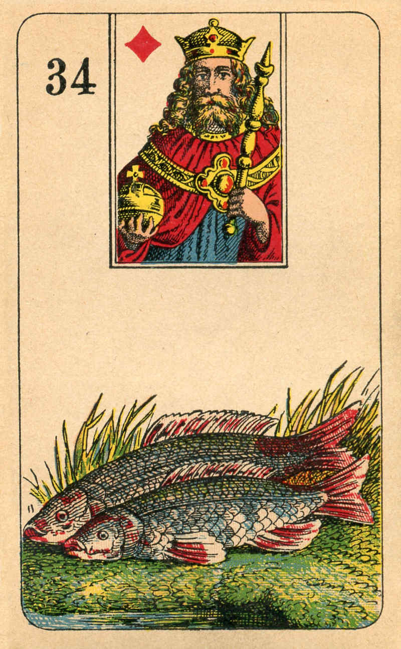 34.Fish