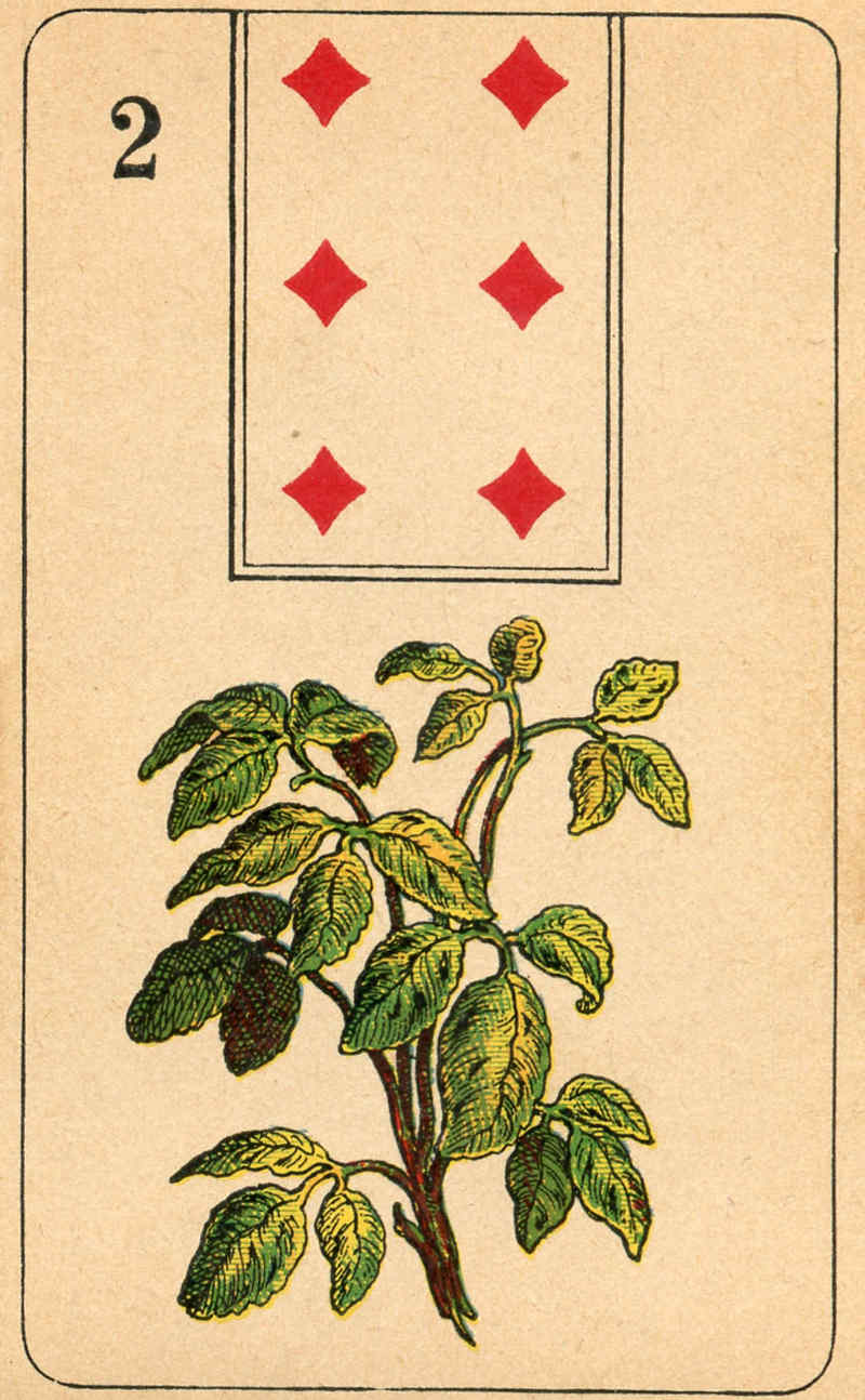 Lenormand Card 2 Clover Meaning & Combinations