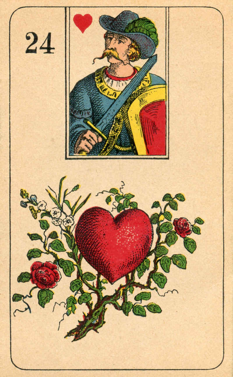24.Heart