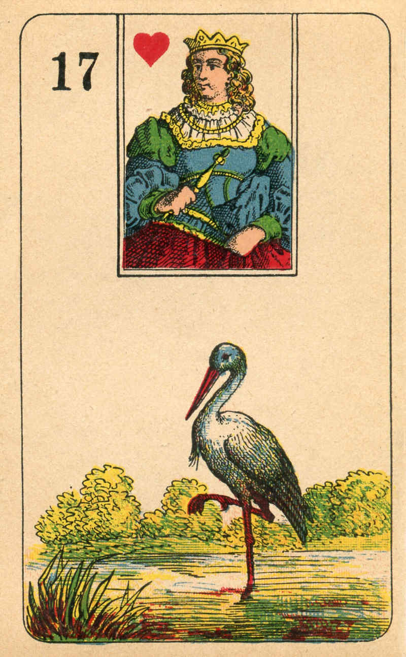 Cigogne (Stork)