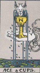 Ace of Cups Tarot card numerology