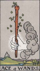 Suit of Wands Ace Card